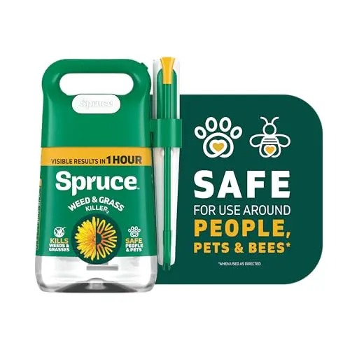 Safe & Easy Spot-Treatment, 64 oz Starter Kit