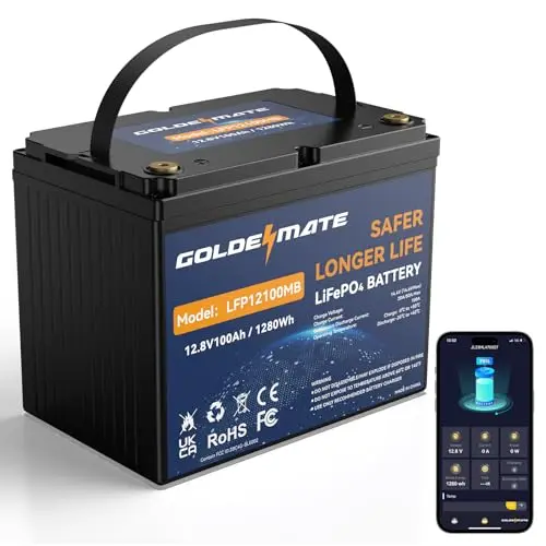 Deep Cycle Lithium with Bluetooth, Group 24