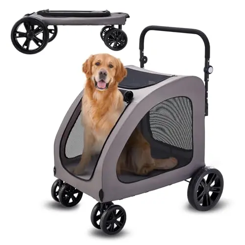 4 Wheels, Up to 160 lbs Capacity