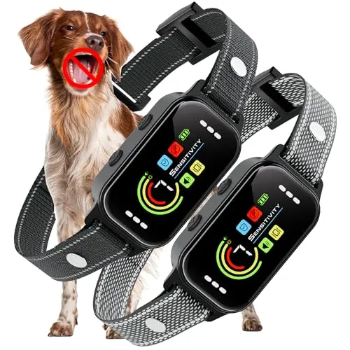 2 Collars, Multi-Safety & Sensitivity