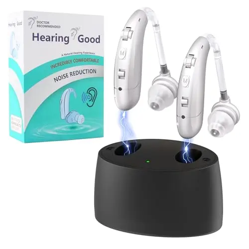Behind-the-Ear Amplifier with Noise Cancelling