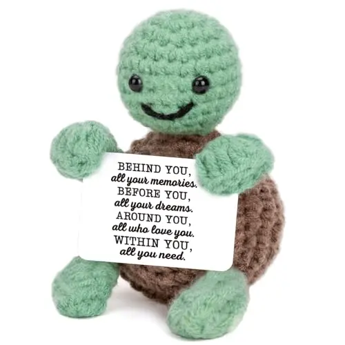 Handmade Emotional Support Turtle
