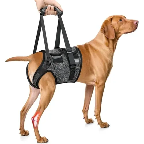 Double Hook & Loop Padded Support Harness