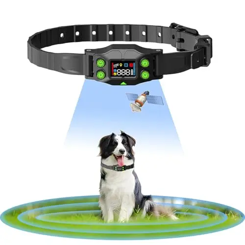 Budget GPS Fence System for Medium & Large Dogs