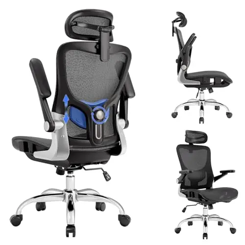 Mesh Chair with 3D Lumbar Support