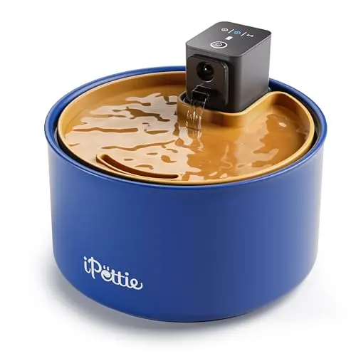 IPETTIE cordless ceramic cat water fountain with rechargeable battery