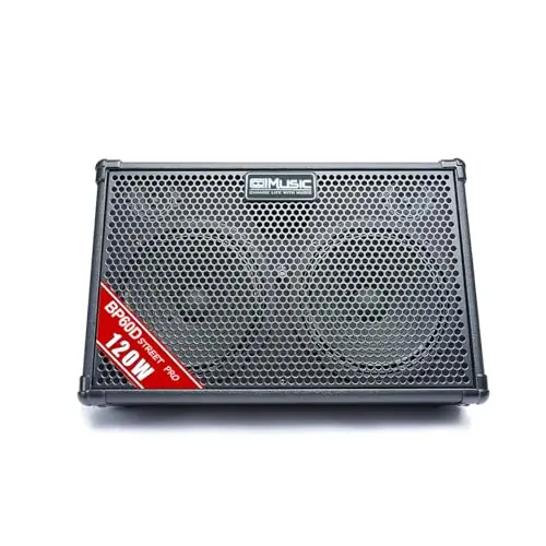 Flagship power, 7 inputs, double speakers