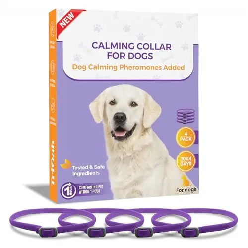 Fast-Acting Pheromone Collar (Purple)